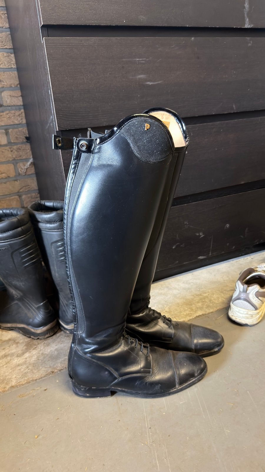 Petrie laarzen maat 42, Ophalen of Verzenden, Zo goed als nieuw, Dressuur, Schoeisel