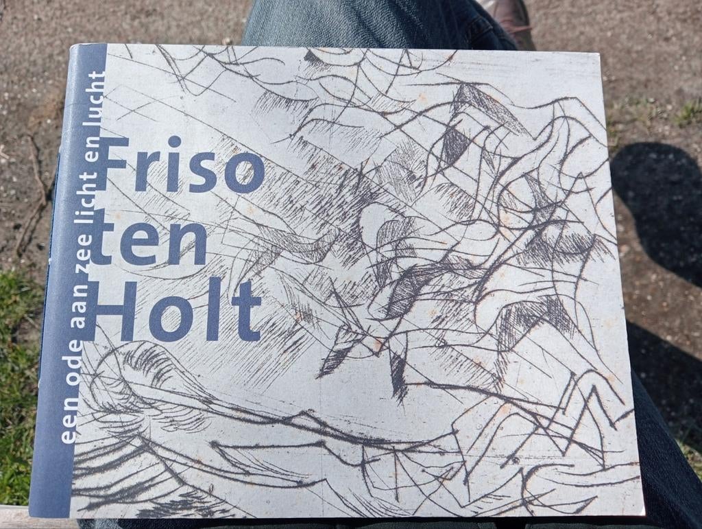 Friso ten Holt: Een ode aan zee, licht en lucht, Ophalen of Verzenden, Zo goed als nieuw, Friso ten Holt