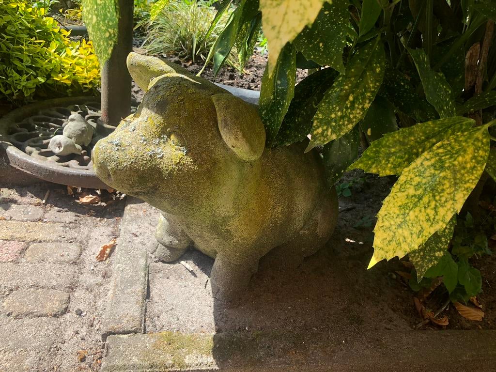 Betonnen varken, Tuin en Terras, Tuinbeelden, Ophalen, Gebruikt, Beton, Dierenbeeld