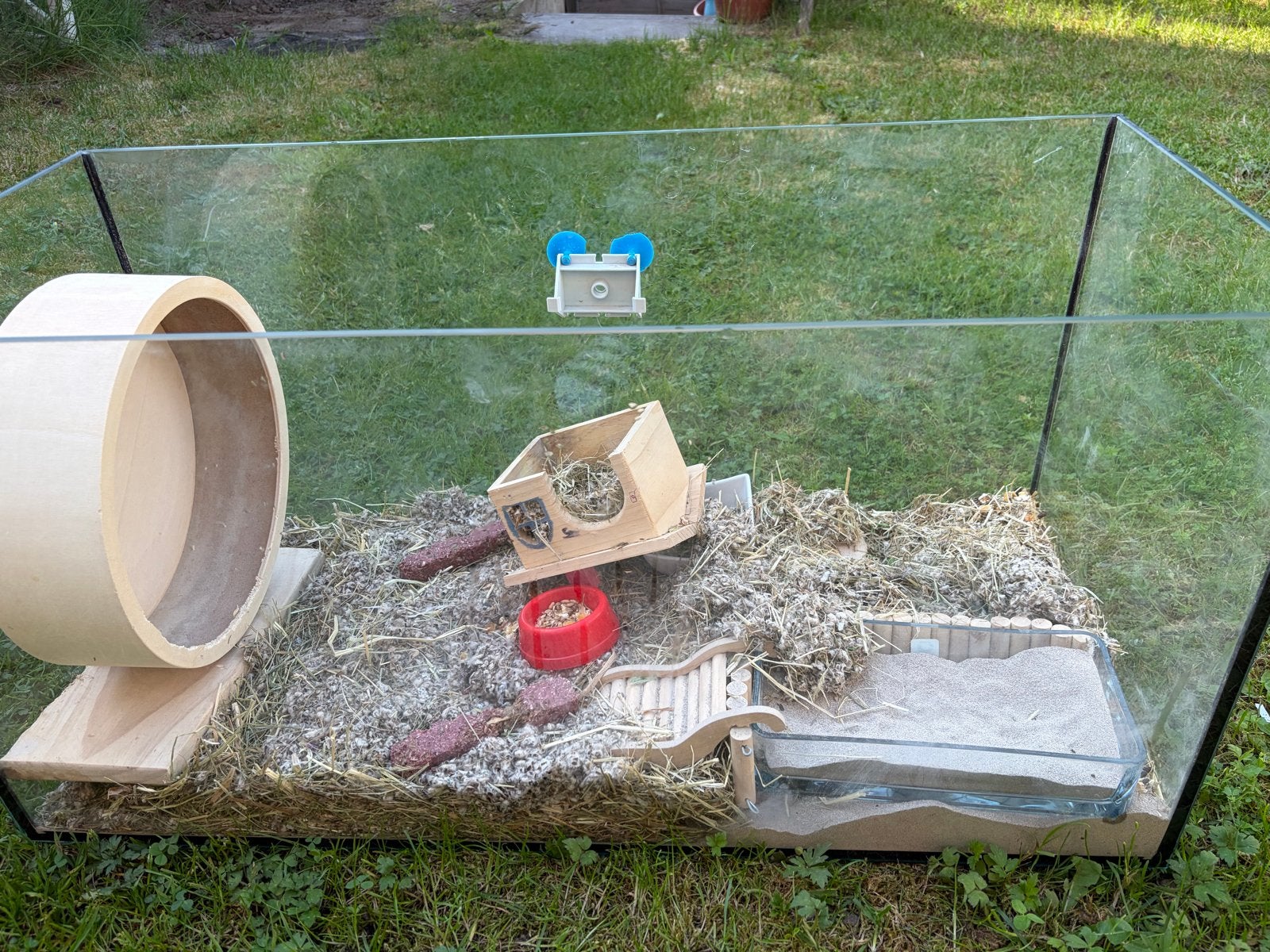 Hamsterkooi, Dieren en Toebehoren, Ophalen