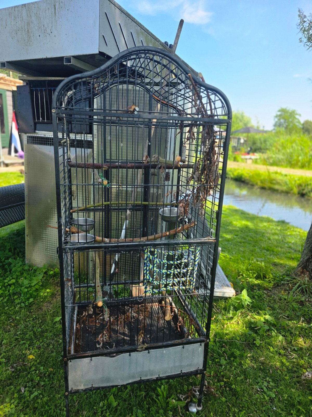 Papagaaien kooi, Ophalen, Gebruikt, Metaal, Vogelkooi