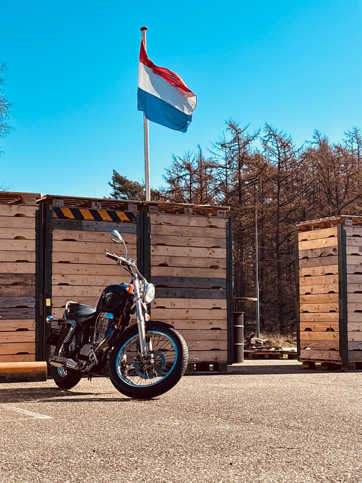 Suzuki Savage 650cc Chopper - Project/Onderdelen, Motoren, Chopper, Gebruikt, Particulier, Meer dan 35 kW
