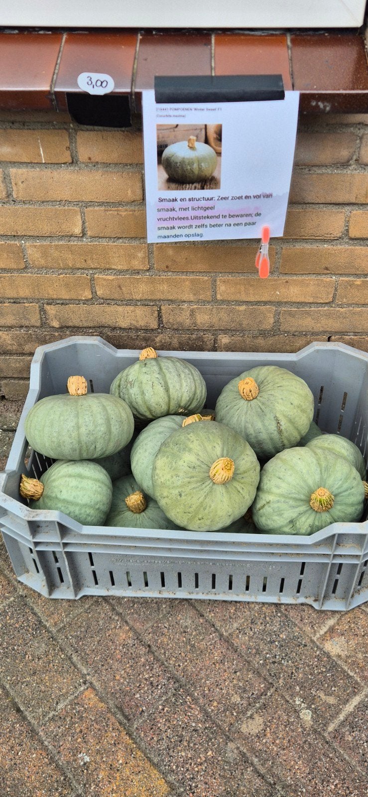 pompoenen eetbaar, Ophalen