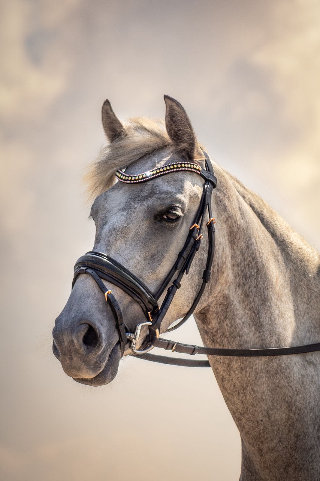 Te koop harry’s horse hoofdstel, Dieren en Toebehoren, Ophalen of Verzenden, Nieuw, Dressuur