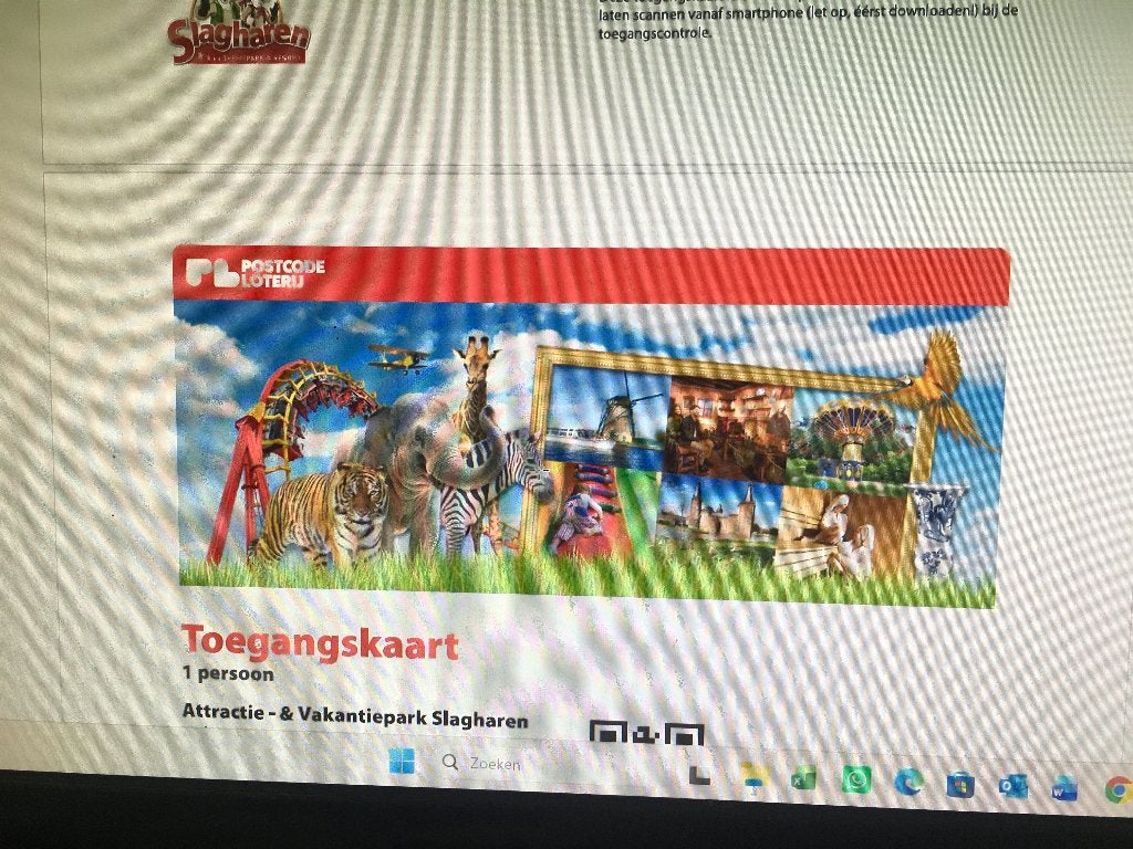 8 Toegangskaarten attractie park Slagharen (postcodeloterij), Tickets en Kaartjes, Drie personen of meer, Ticket of Toegangskaart