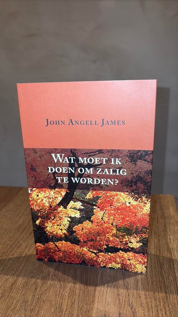 KR John Angell James - Wat moet ik doen om zalig te worden?, Ophalen of Verzenden, Zo goed als nieuw, John Angell James