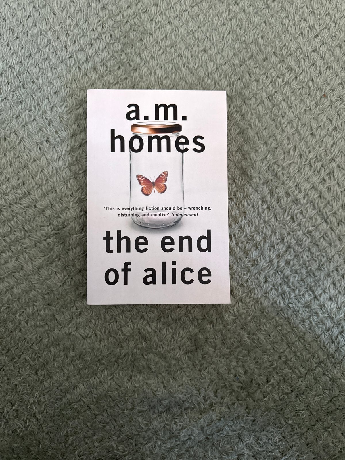 The End of Alice - A.M. Homes (Engels), Boeken, Ophalen of Verzenden, Gelezen, Wereld overig