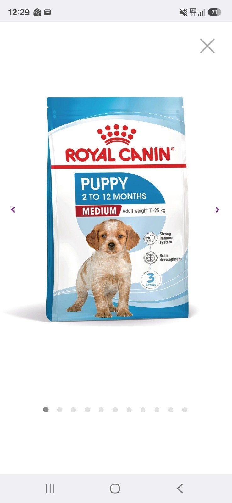 puppy voer medium hond, Ophalen, Hond