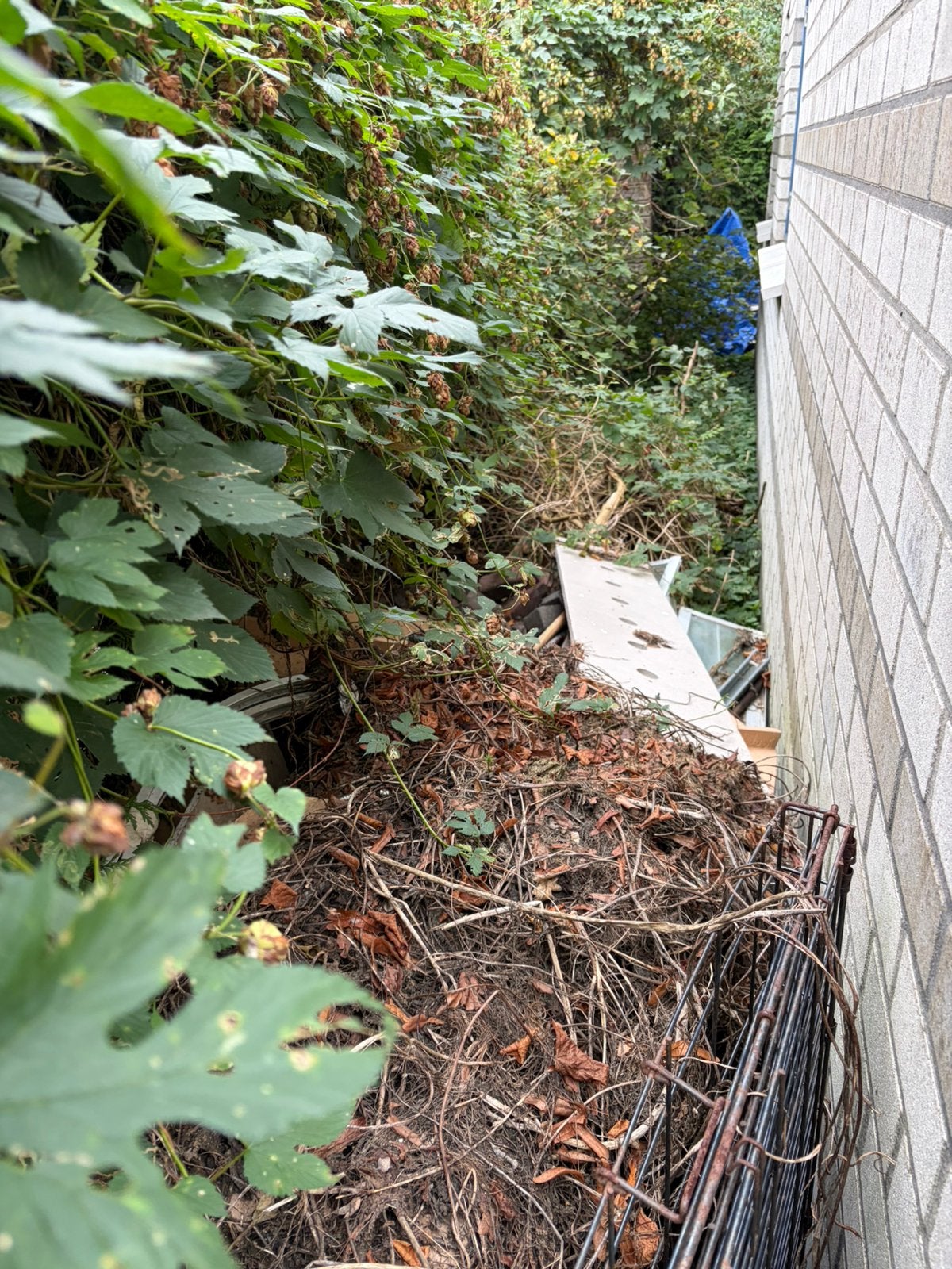 Hulp gezocht voor afvoeren hout en stenen – vergoeding, Ophalen of Verzenden, Zo goed als nieuw