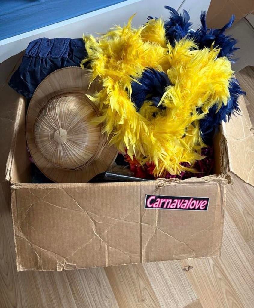 Grote doos vol diverse carnavalskleding en accessoires, Ophalen, Gedragen, Carnaval, Kleding