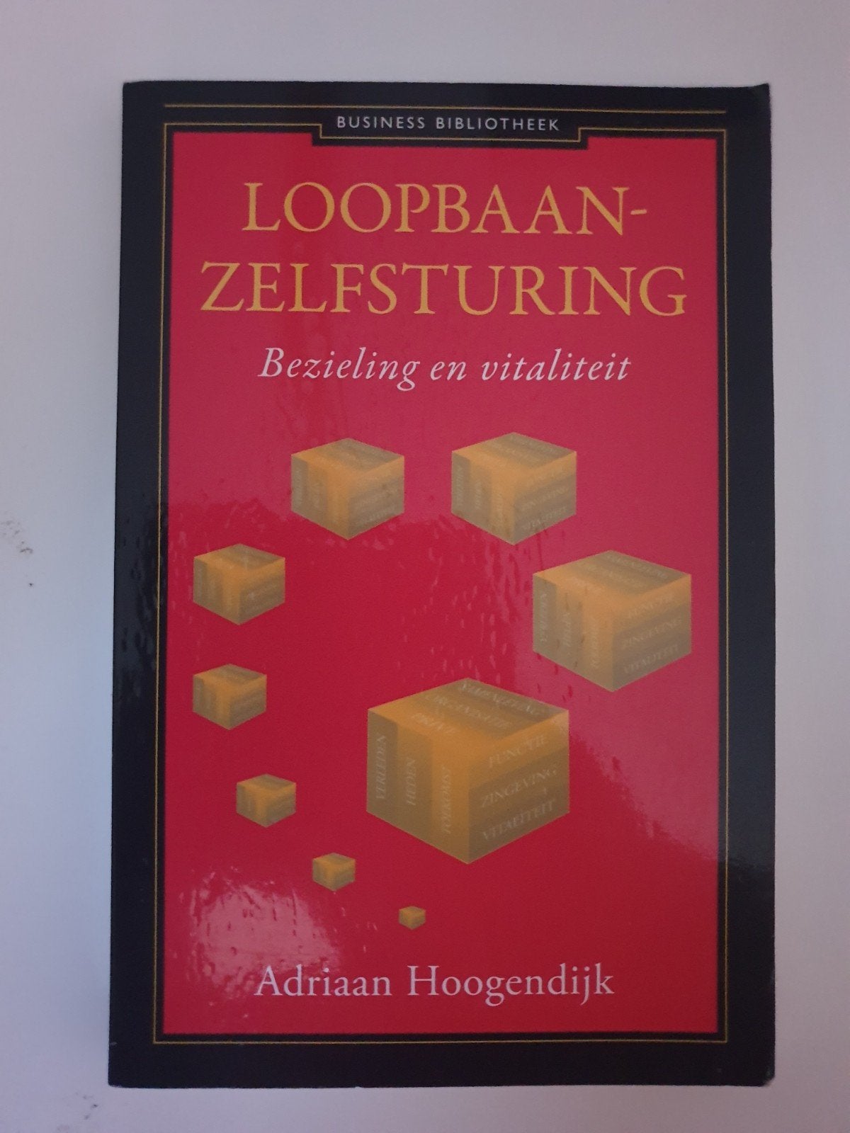 Loopbaan Zelfsturing: Bezieling en Vitaliteit, Boeken, Overige Boeken, Gelezen, Ophalen of Verzenden