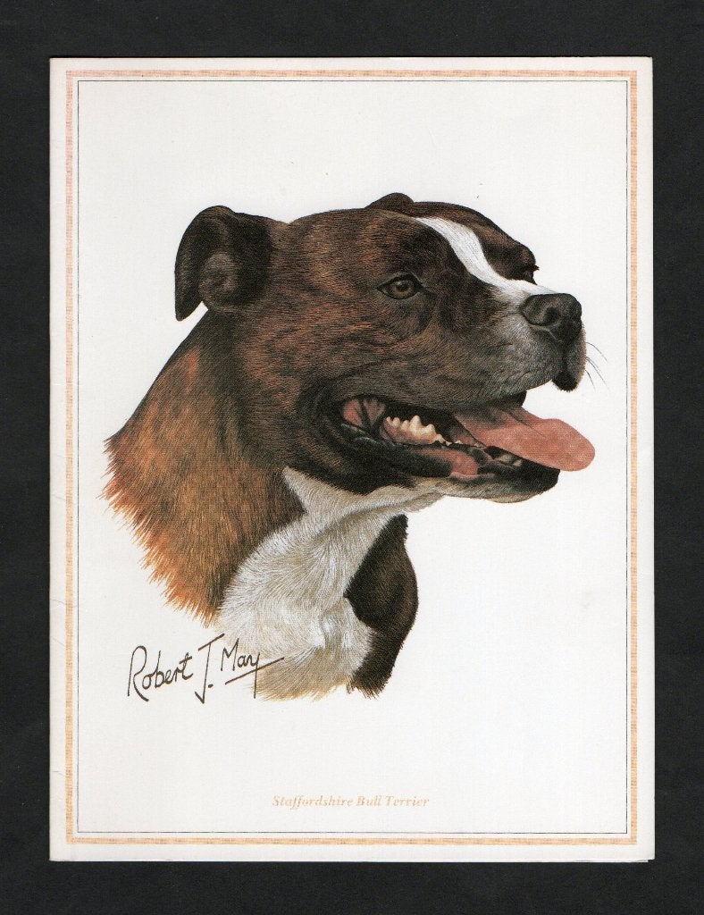 Hond Staffordshire Bull Terrier door Rober J. May., Ophalen of Verzenden, 1980 tot heden, Ongelopen, Hond of Kat