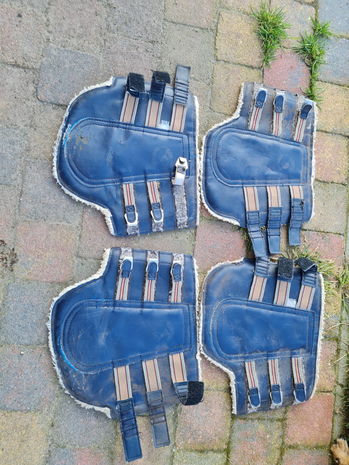 Beenbeschermers, Dieren en Toebehoren, Beenbeschermers, Ophalen of Verzenden, Gebruikt, Full