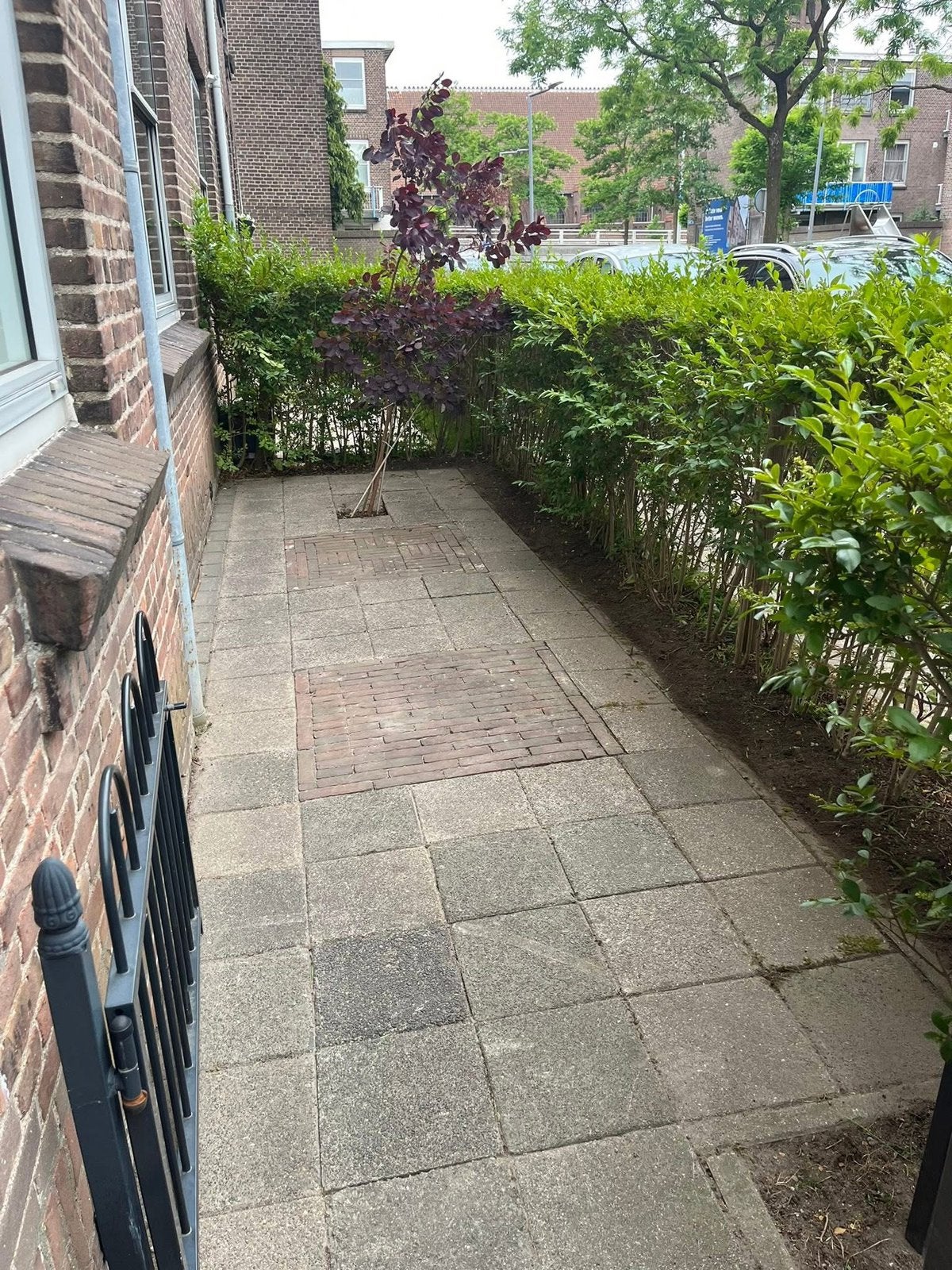 Tuinman / tuinonderhoud, Diensten en Vakmensen