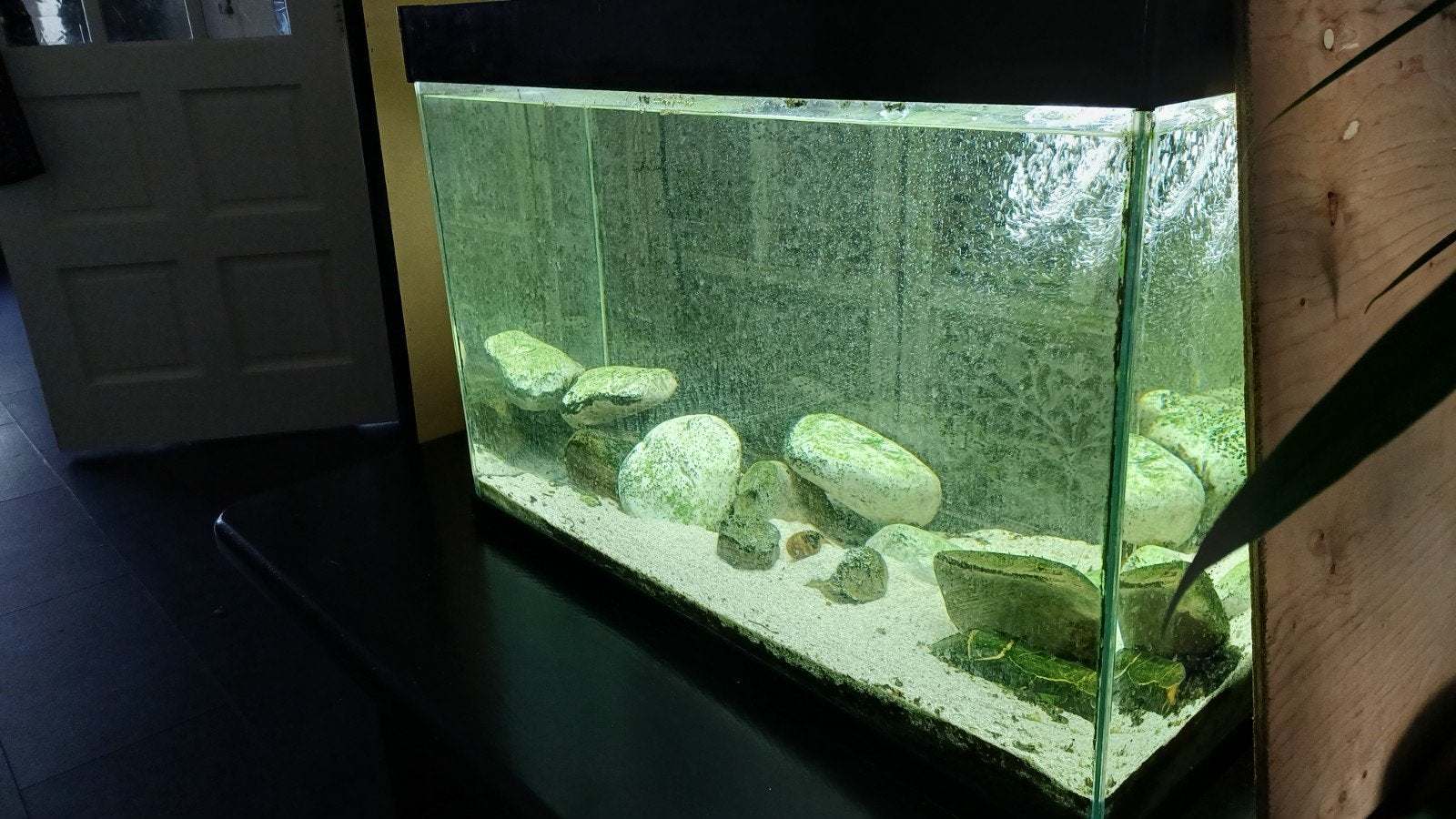 Aqurium 100cm +2 pompen voeder automaat,uvc, Ophalen