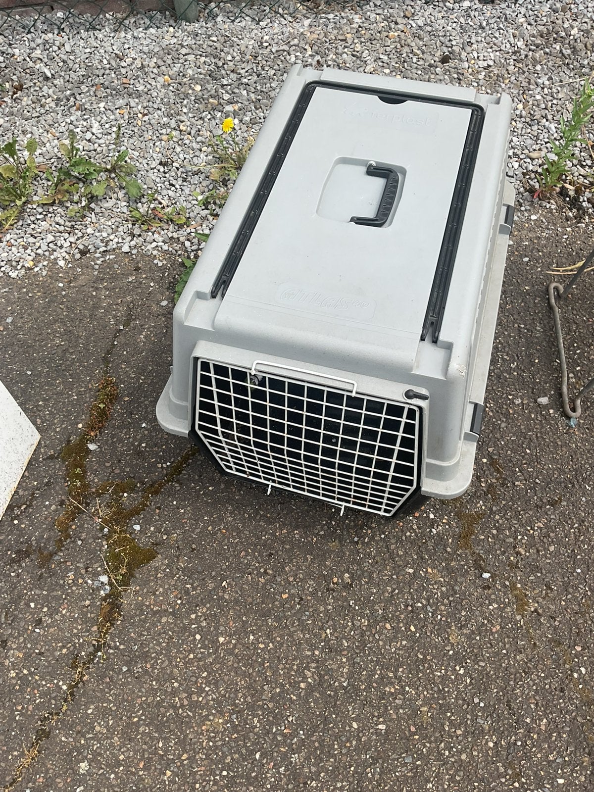 Ferplast Atlas hond of kat transportbox of bench, Dieren en Toebehoren, Ophalen, Zo goed als nieuw