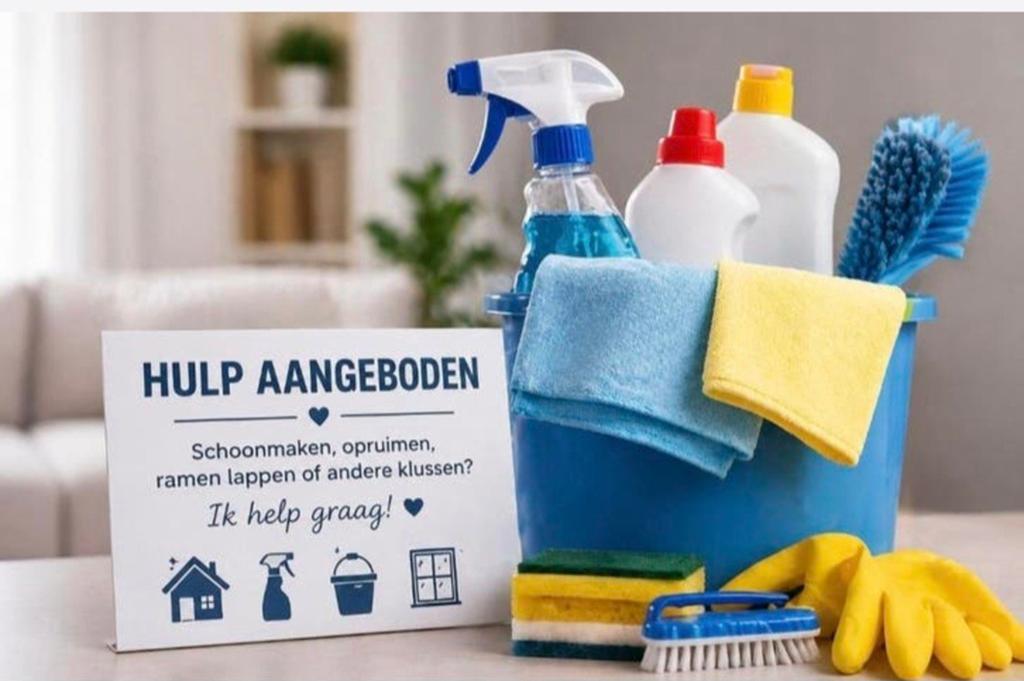 Hulp in de huishouding!, Vanaf 10 jaar, Overige vormen