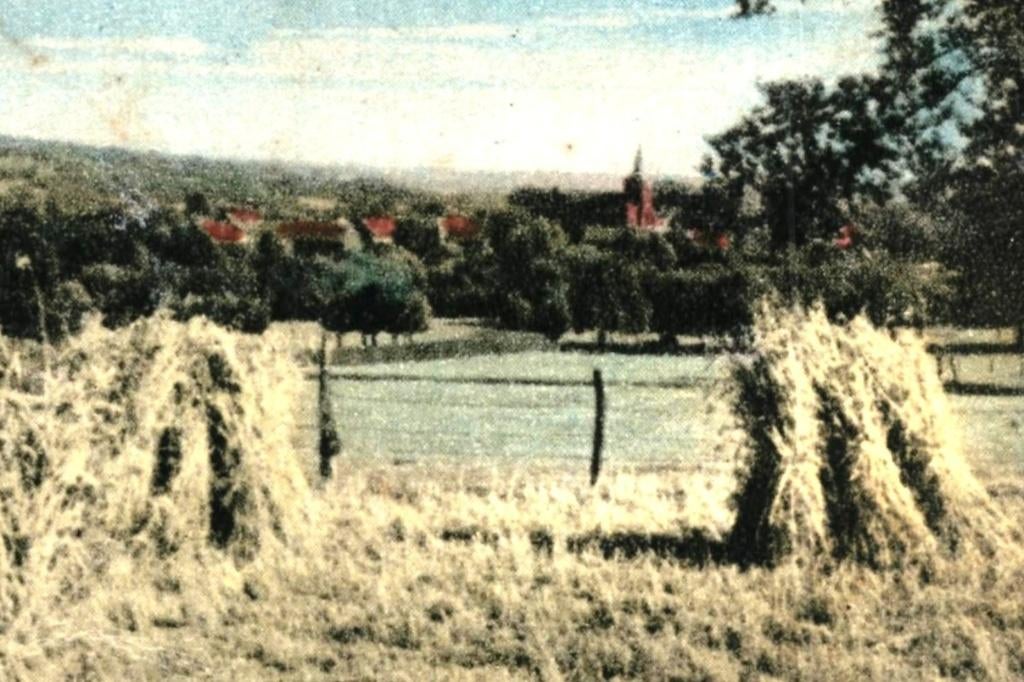 914337 Epen Limburg 1950 . Postzegel gedeeltelijk verwijderd, Ophalen of Verzenden, 1940 tot 1960, Gelopen, Limburg