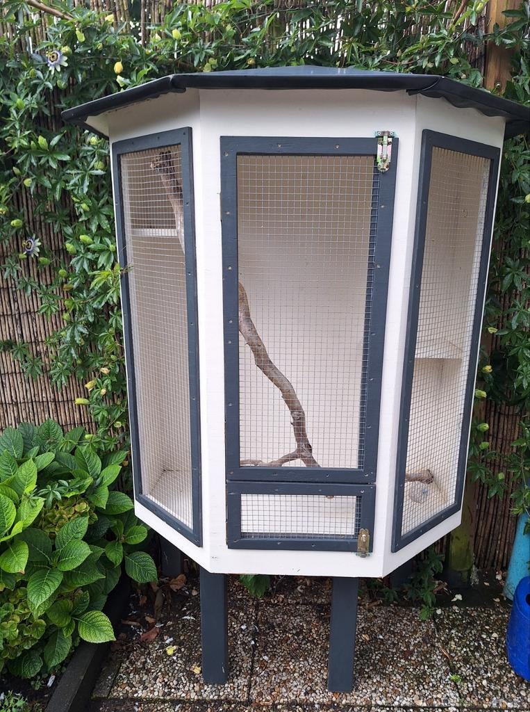 Vogelkooi, Dieren en Toebehoren, Vogels | Hokken en Kooien, Ophalen, Gebruikt, Hout, Overige typen