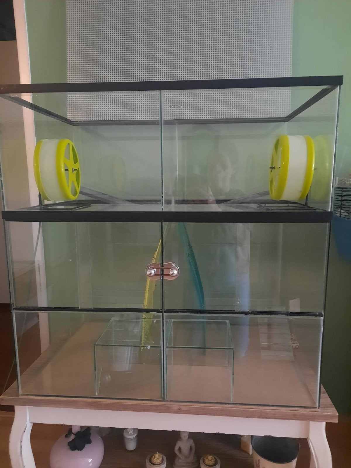 Terrarium voor knaagdieren, Ophalen, Overige typen, 60 tot 90 cm, Muis