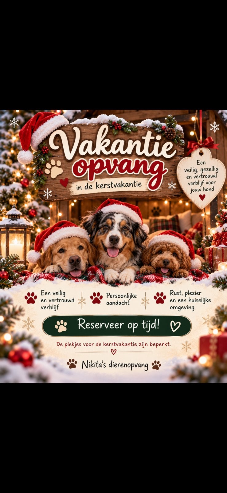 Dieren opvang, Particuliere oppas