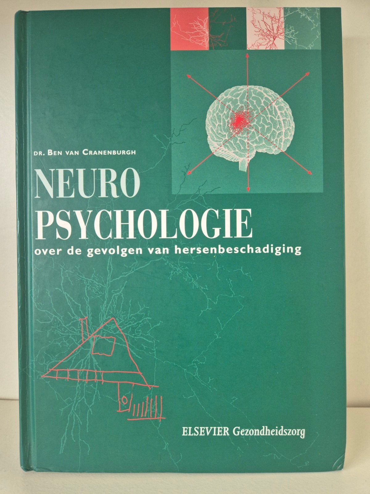 Neuropsychologie: Gevolgen van hersenbeschadiging, Boeken, Ophalen of Verzenden, Zo goed als nieuw, Functieleer of Neuropsychologie