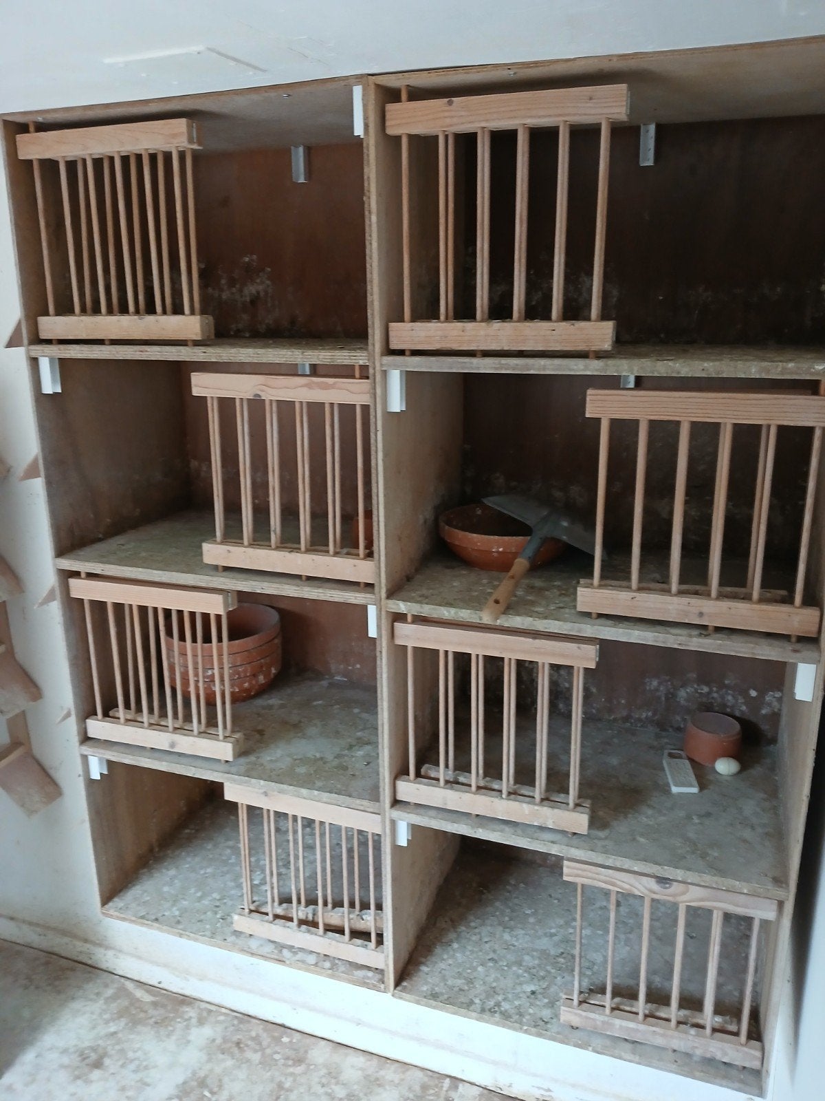 2 Broedbakken 60 breed 140 cm hoog, Dieren en Toebehoren, Vogels | Duiven, Vrouwelijk, Postduif