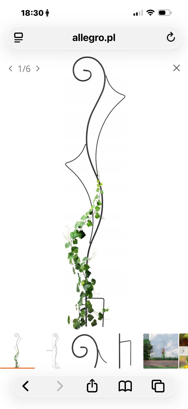 Plantensteun, Ophalen, Helmond / Someren, Nieuw, Babijhandel@gmail.com