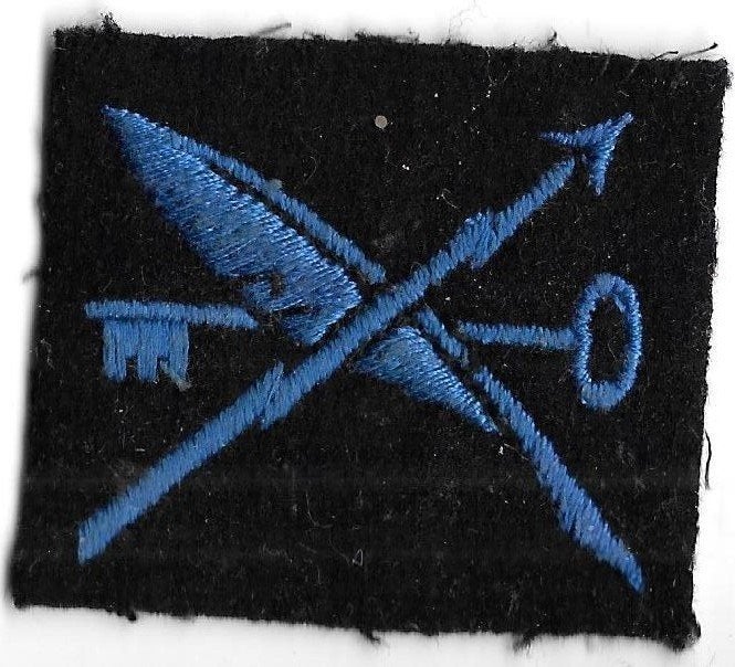 Wat is dit insigne embleem?veer en sleutel en bliksemschicht, Verzenden, Marine, Overige gebieden, Embleem of Badge