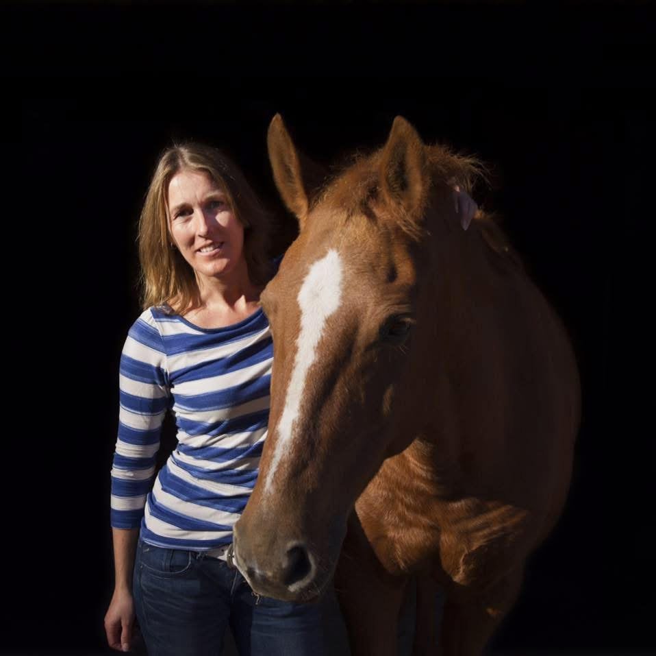 Unieke kans: uitloopstal met weidegang Rotterdam-Overschie!, Dieren en Toebehoren, Weidegang, 1 paard of pony