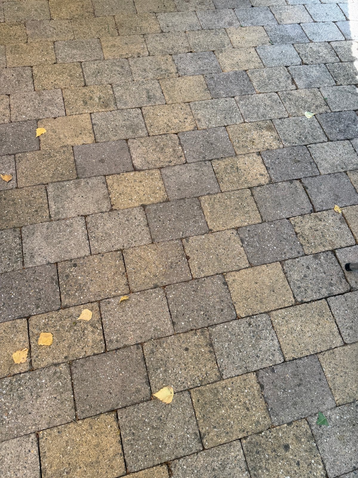 Beton klinker 20 cm x 15 cm gebruikt, Ophalen, Gebruikt, Klinkers, 5 tot 10 m²
