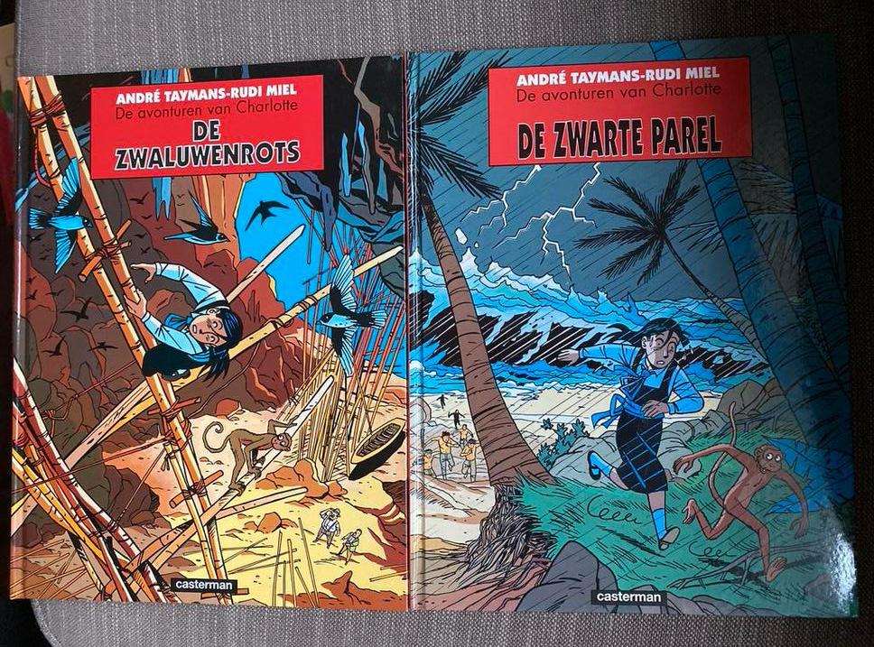 Avonturen van Charlotte - de Zwaluwenrots-de zwarte parel, Boeken, Meerdere stripboeken, Ophalen of Verzenden, Gelezen
