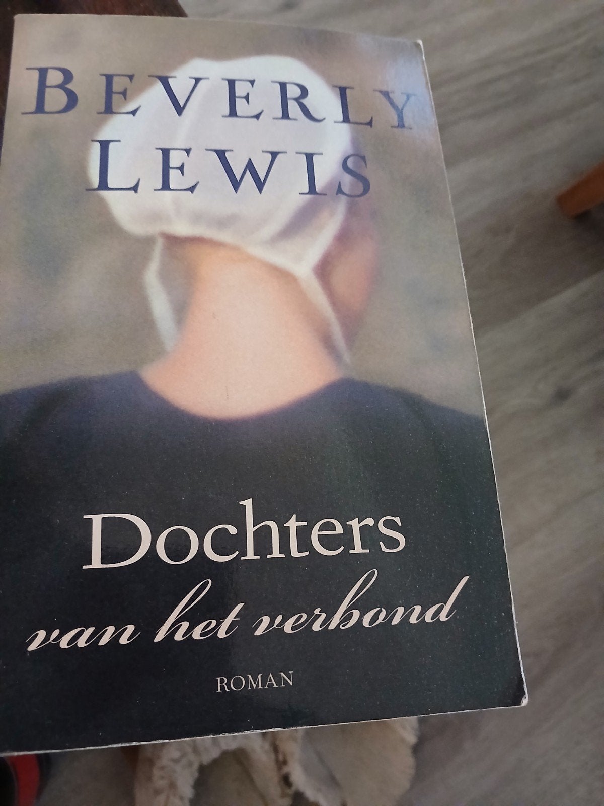 Beverly Lewis - Dochters van het verbond, Boeken, Ophalen of Verzenden, Zo goed als nieuw, Beverly Lewis