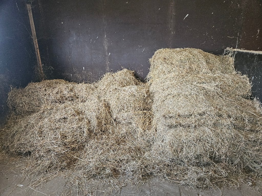 Hooi (eenmalig), Dieren en Toebehoren, Ophalen, Vee