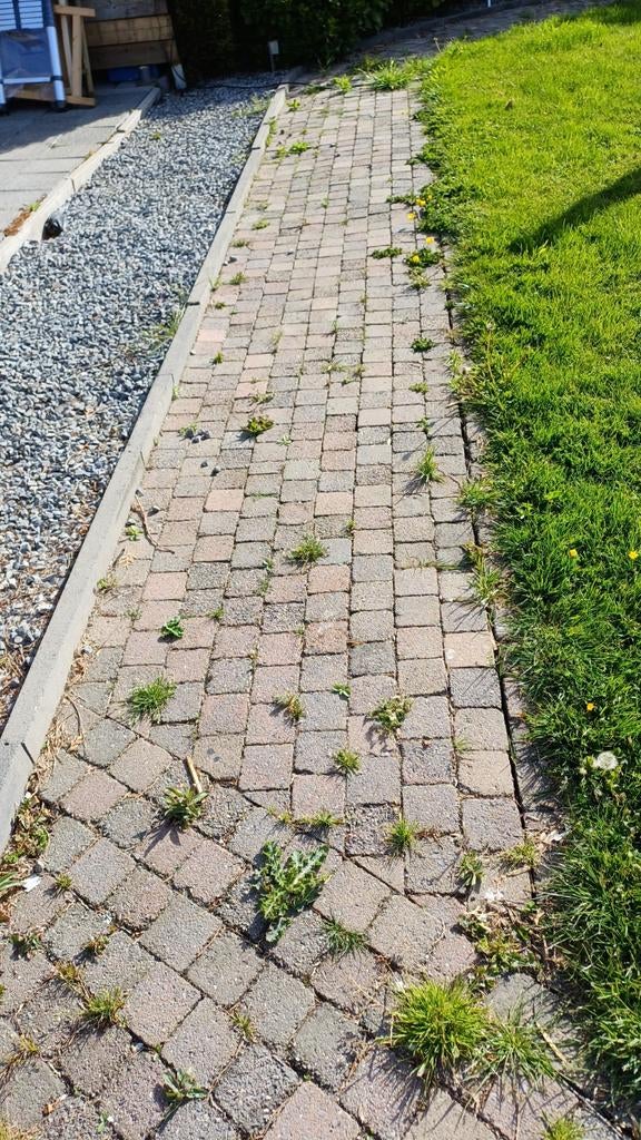 Gratis af te halen Koppelstones, Tuin en Terras, Ophalen, Beton, Klinkers
