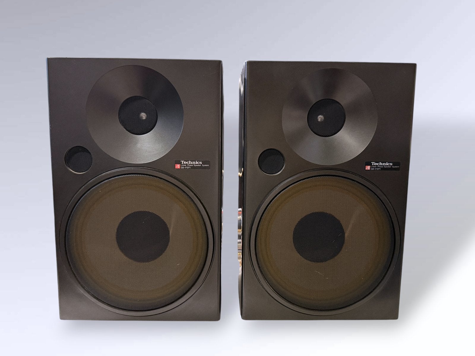Technics SB-F071 2-weg luidsprekersysteem - Werkend