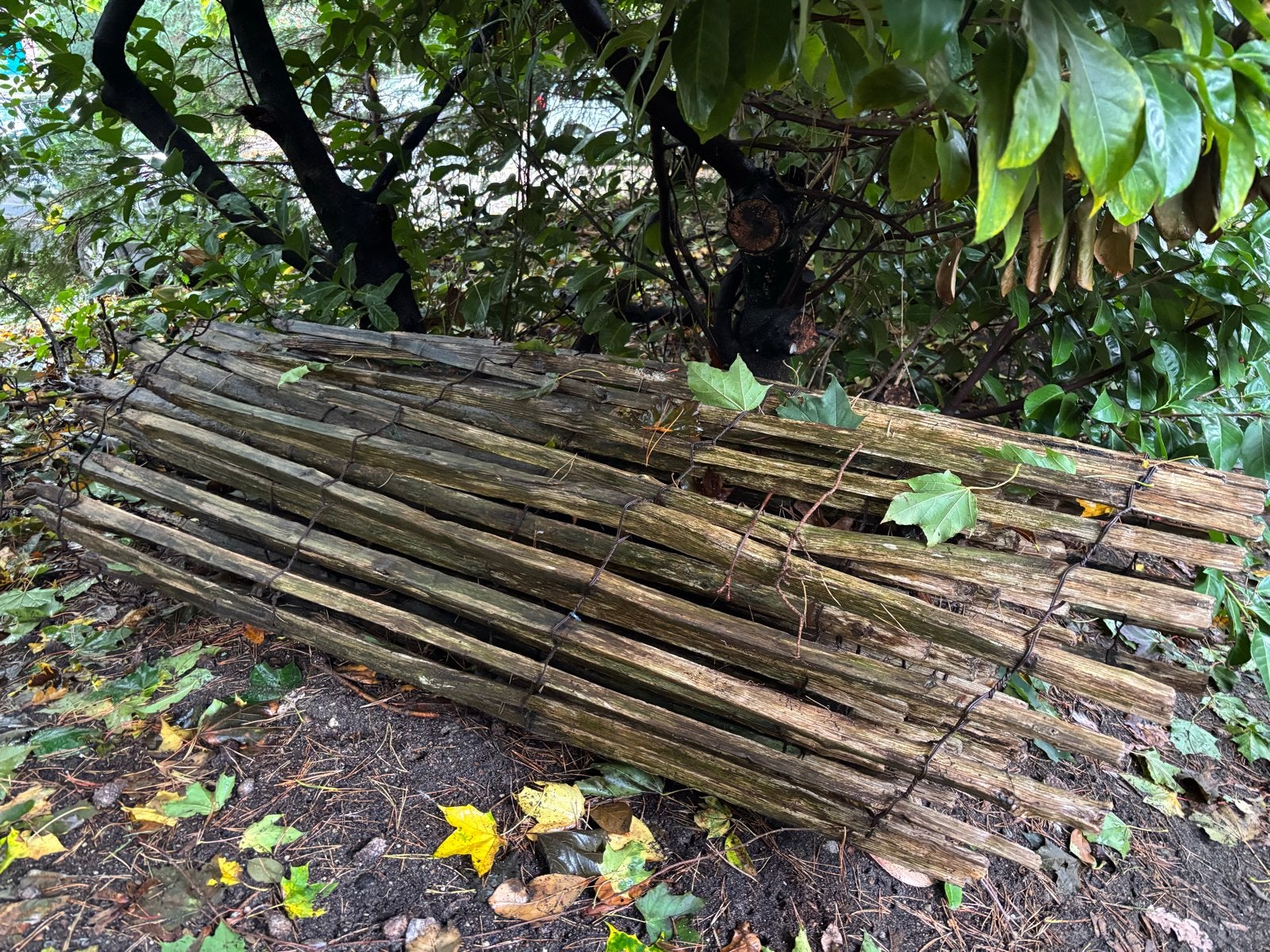 Schapenhek 3 meter, 1.60m hoog, Ophalen, Gebruikt, Hout, Tuinhek