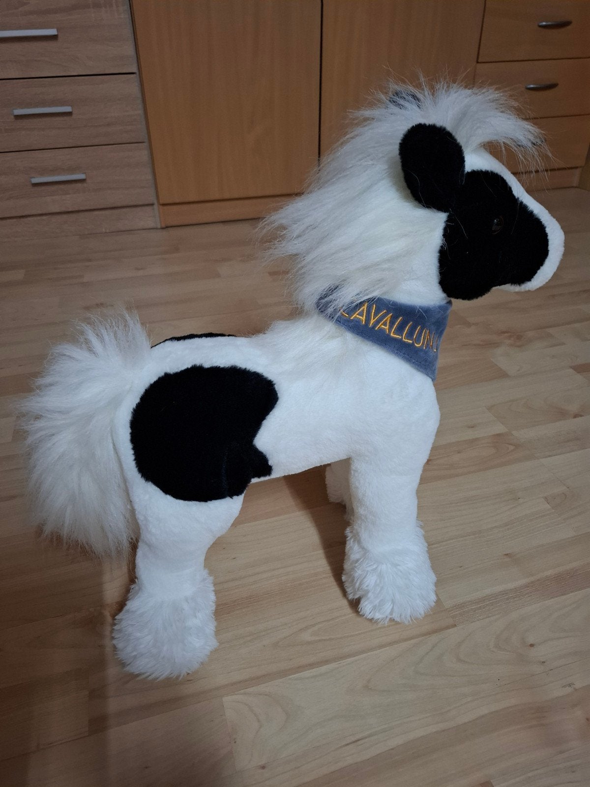 Cavalluna paard, Ophalen, Zo goed als nieuw, Paard