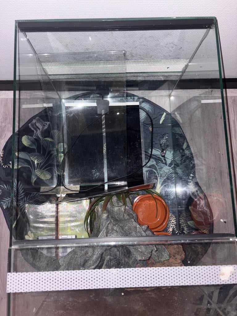 Terrarium glas, Dieren en Toebehoren, Reptielen en Amfibieën | Toebehoren, Ophalen, Zo goed als nieuw