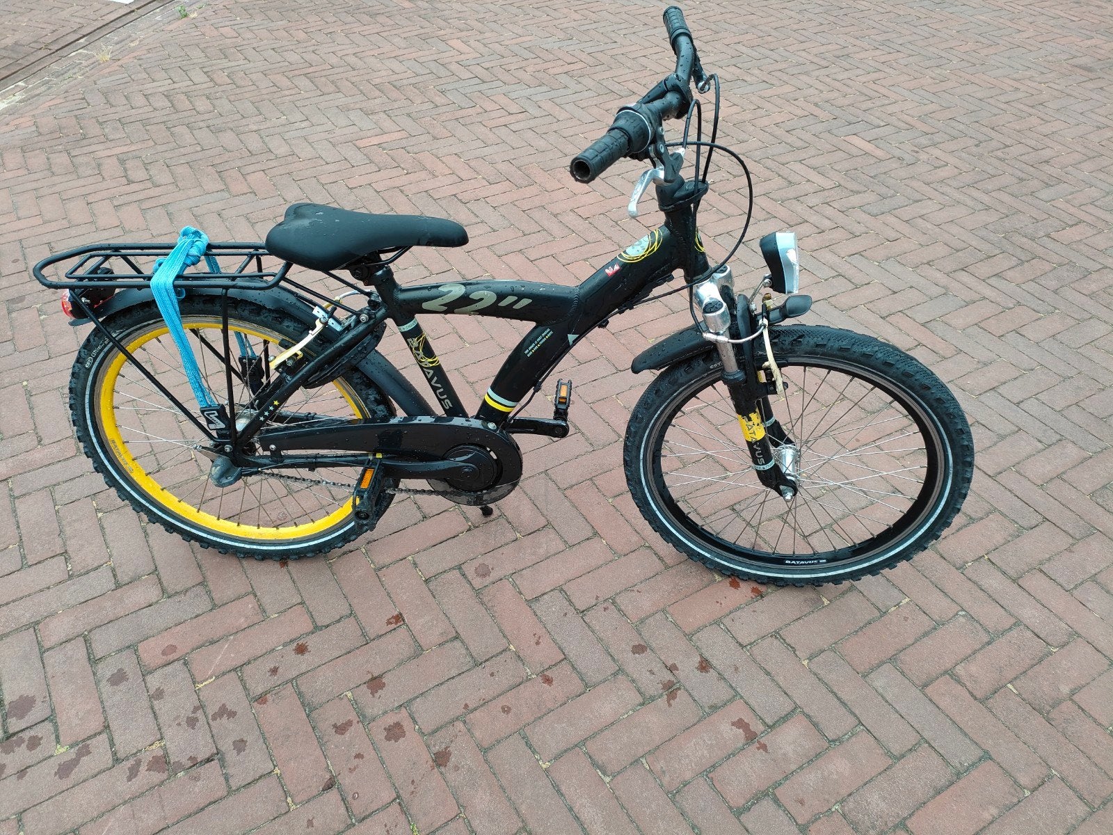 Batavus snake fiets 22 inch met 3 versnelling, Fietsen en Brommers, Ophalen, Terugtraprem, 22 inch, Versnellingen