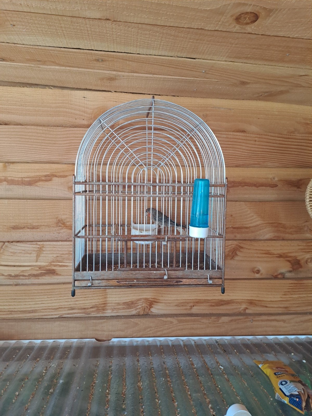 zangkooi, Ophalen of Verzenden, Zo goed als nieuw, Hout, Vogelkooi