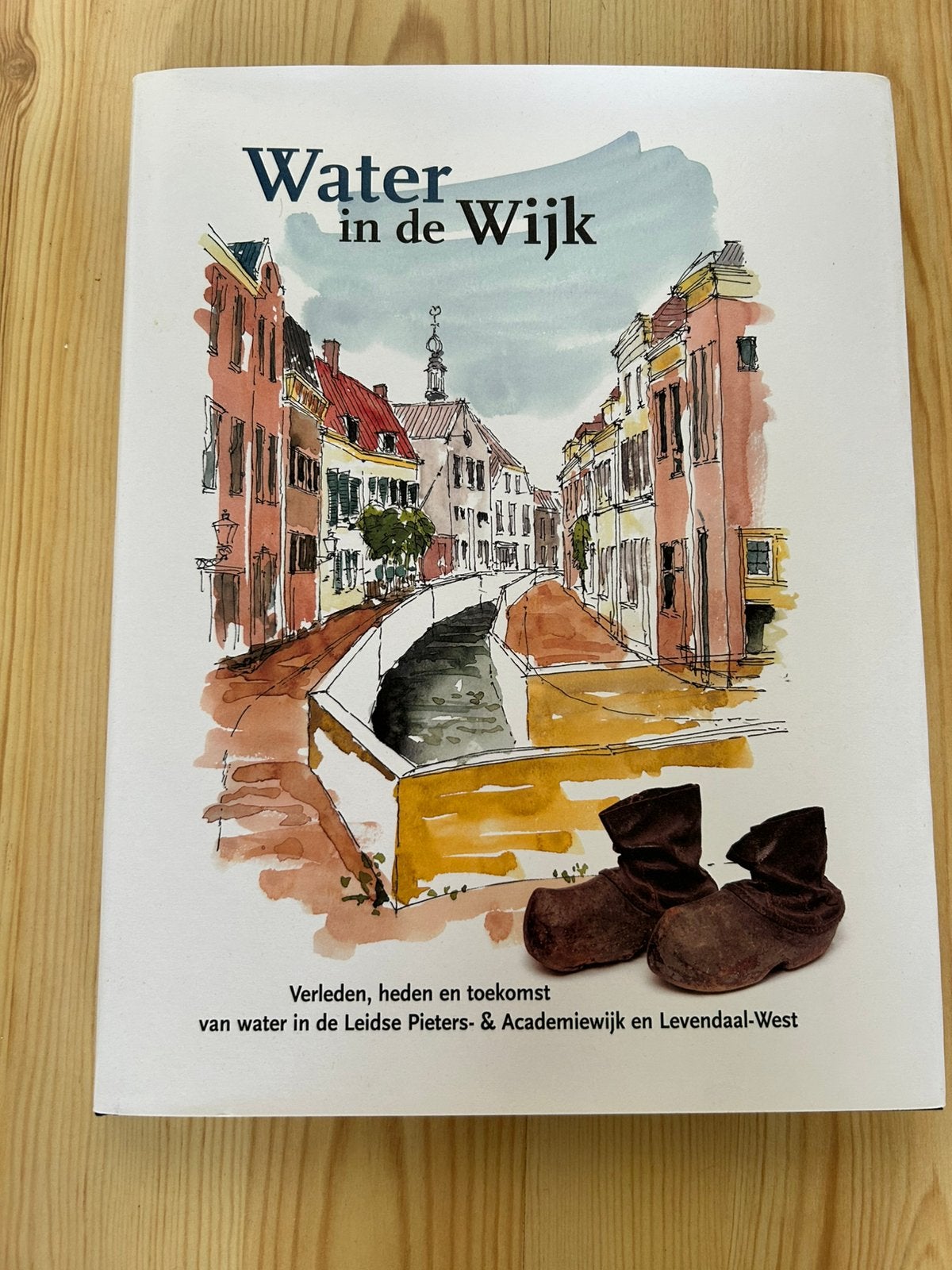 Water in de wijk, Ophalen of Verzenden, 20e eeuw of later, Gelezen