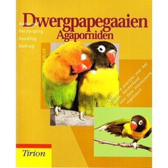 Dwergpapegaaien Agaporniden, Ophalen of Verzenden, Nieuw, Vogels