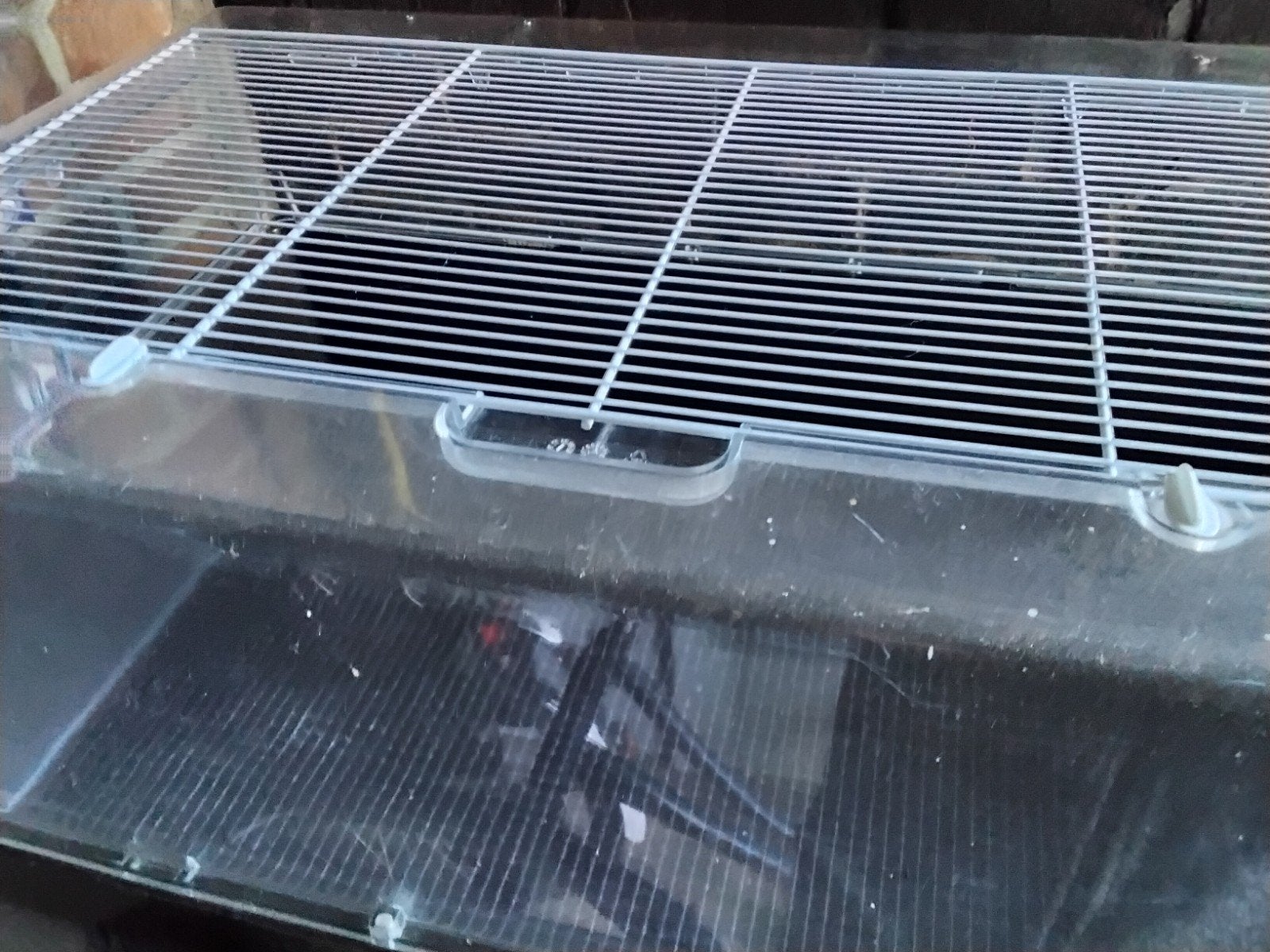 hamsterbak, Dieren en Toebehoren, Kooi, Gebruikt, Hamster, 75 tot 110 cm