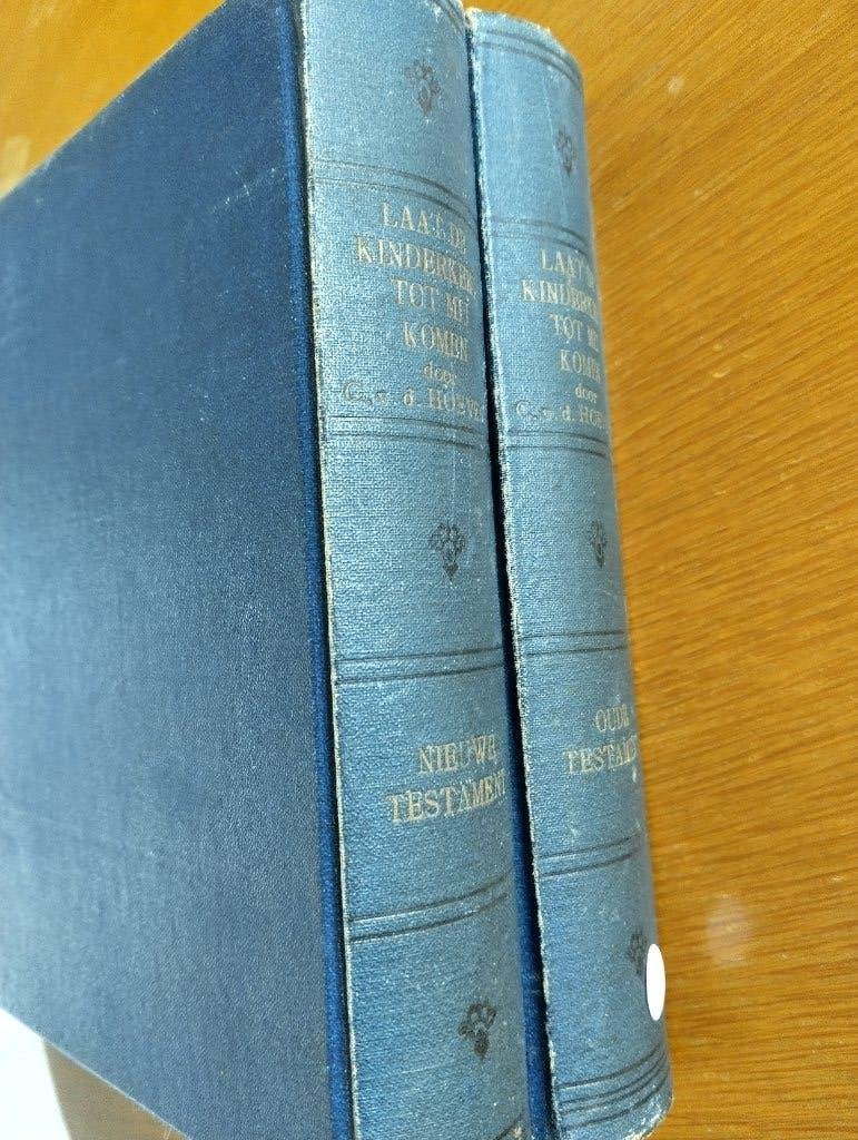 Nr. 1107 C. van der Hoeven, Laat de kinderkens tot mij komen, Antiek en Kunst, Ophalen of Verzenden, Hoeven, C. van der