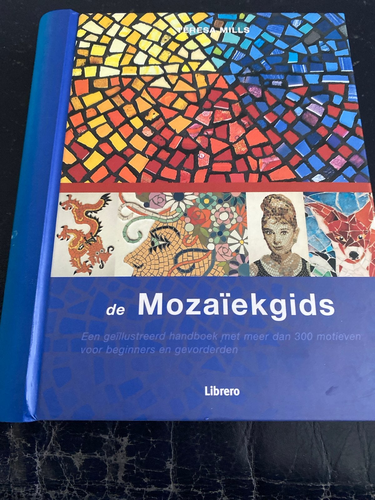 De Mozaïekgids - Teresa Mills - Librero - Zo goed als nieuw, Ophalen of Verzenden, Zo goed als nieuw, Knutselboek
