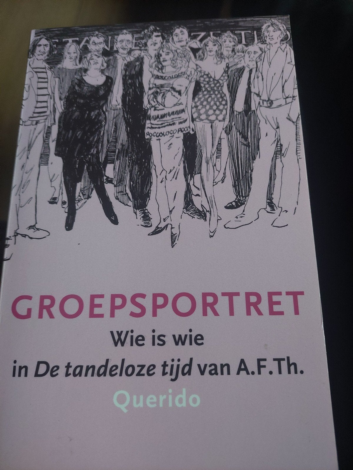 Groepsportret: Wie is wie in De tandeloze tijd van A.F.Th., Ophalen of Verzenden, Gelezen, A.F.Th. van der Heijden, Nederland