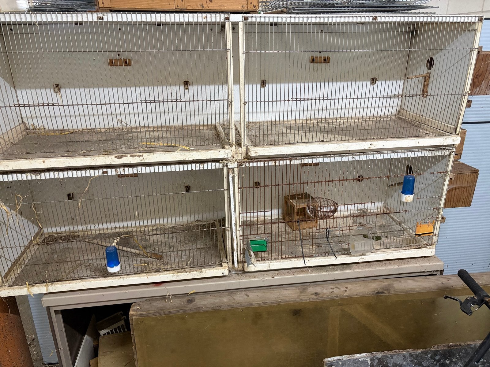 Broedkooi, Dieren en Toebehoren, Ophalen