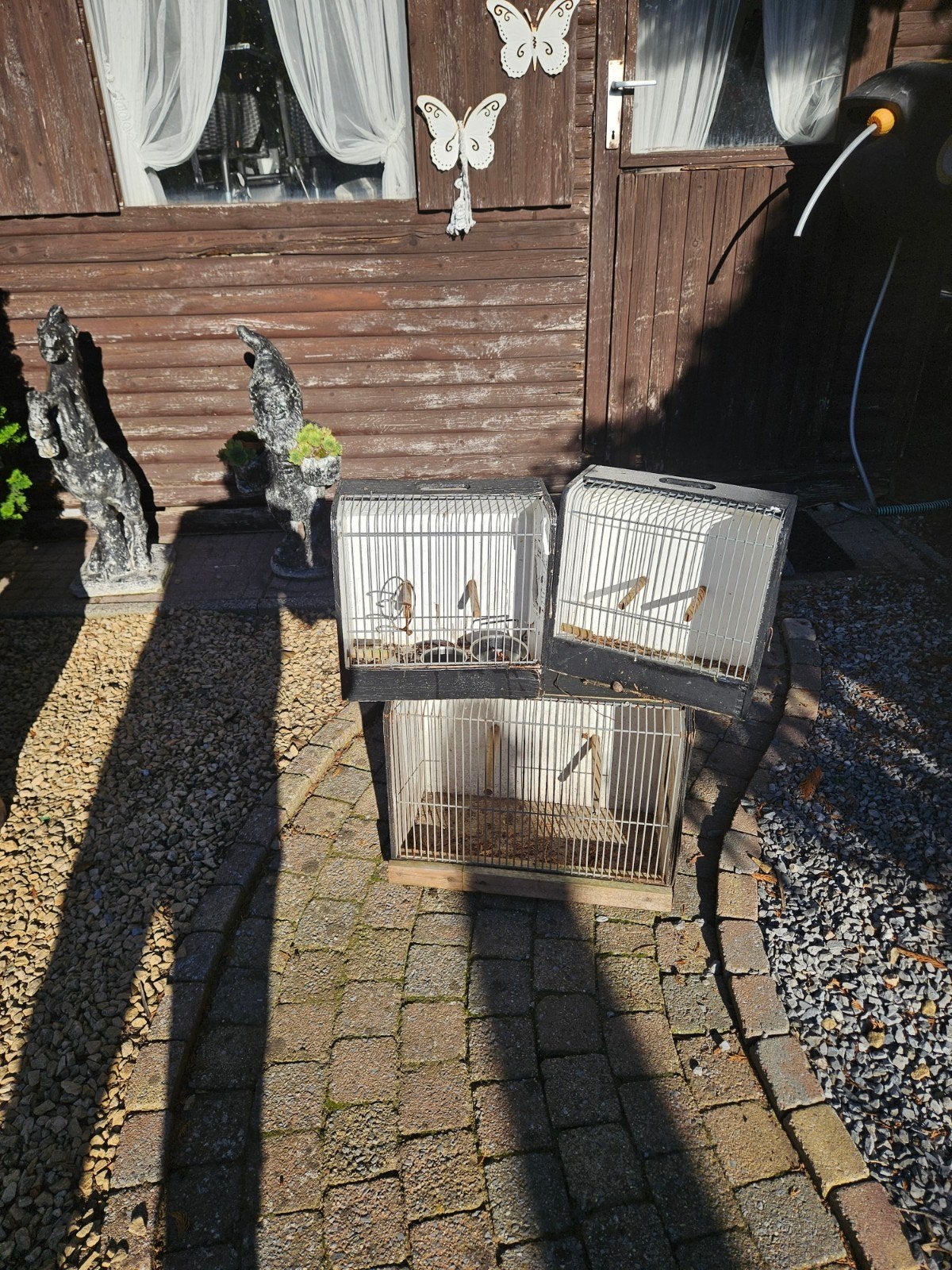 kooi transport, Ophalen, Zo goed als nieuw, Metaal, Vogelkooi