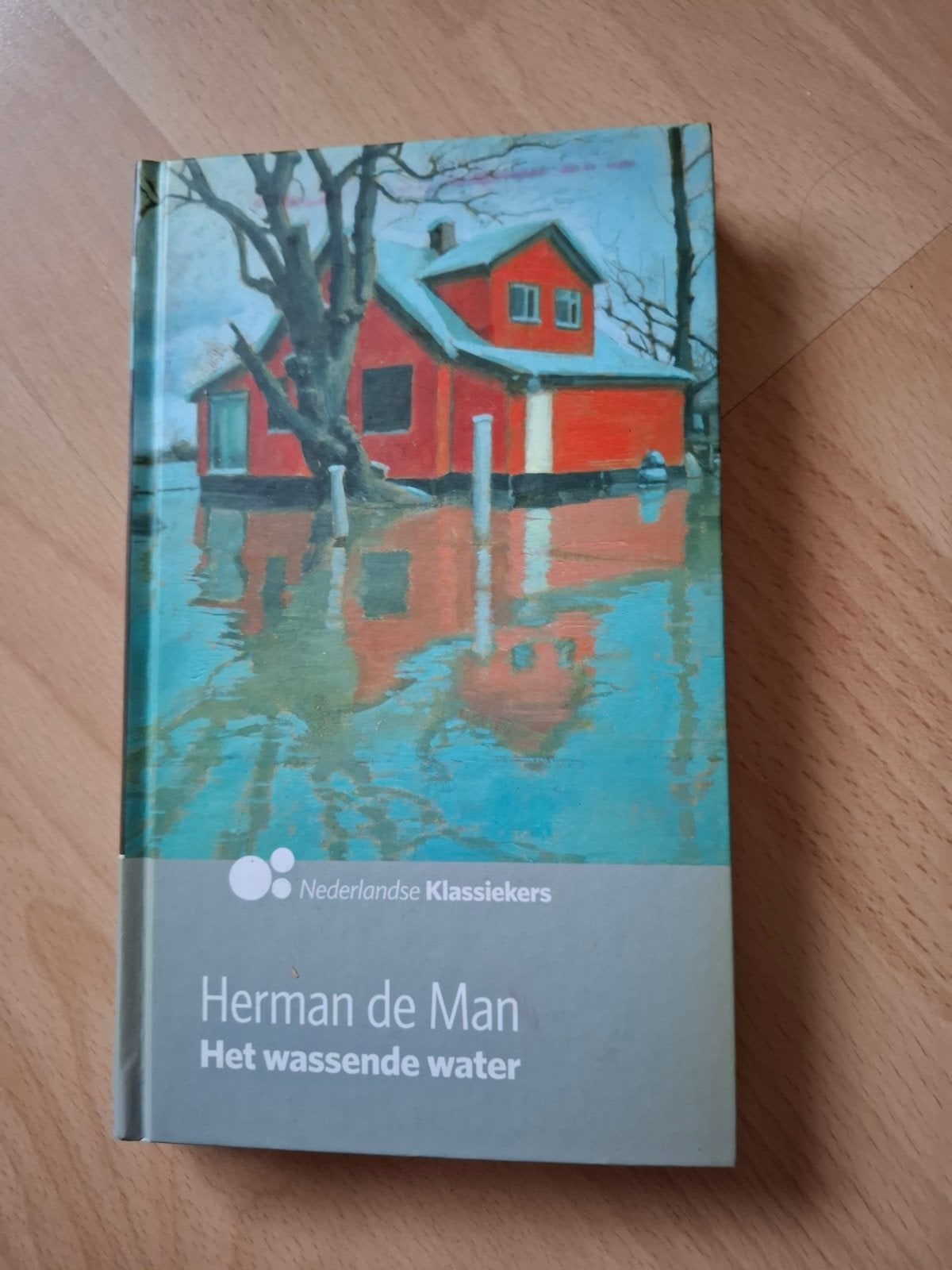 Herman de Man het wassende water, Ophalen of Verzenden, Zo goed als nieuw
